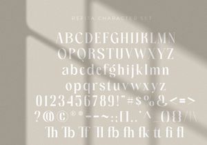Relington-Elegant Serif Font