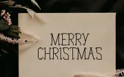Holly Curves - Fonte de Exibição de Natal