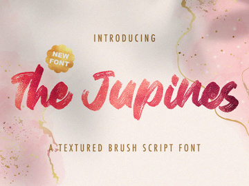 The Junipes - Textured Brush Font preview picture