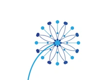 Dandelion flower logo vector