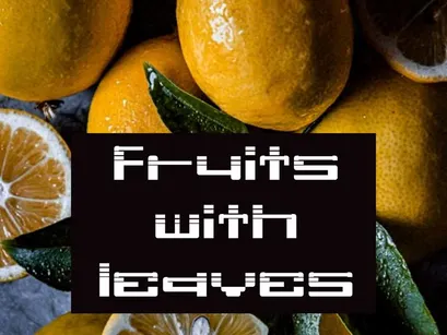 Qhotass – Modern Casual Handwritten Font
