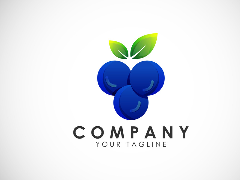Colorful blueberry logo design template. Blueberry vectors