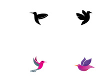 Creative colorful bird logo design.