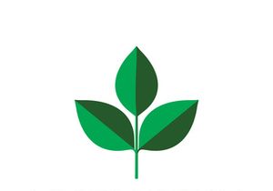 Leaf logo