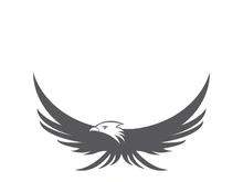 Falcon logo template vector illustration design