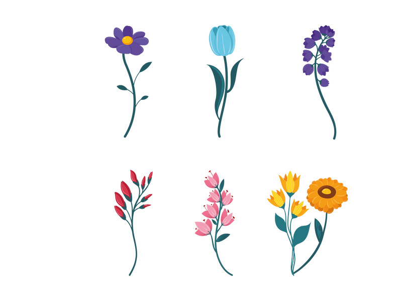 Vector Flower Watercolor Illustration