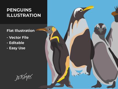 Penguins Vector Bundle