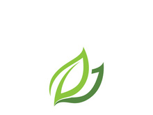 Green leaf ecology nature element vector icon