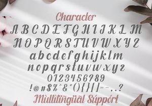 Fendysa - Beautiful Romantic Script Font