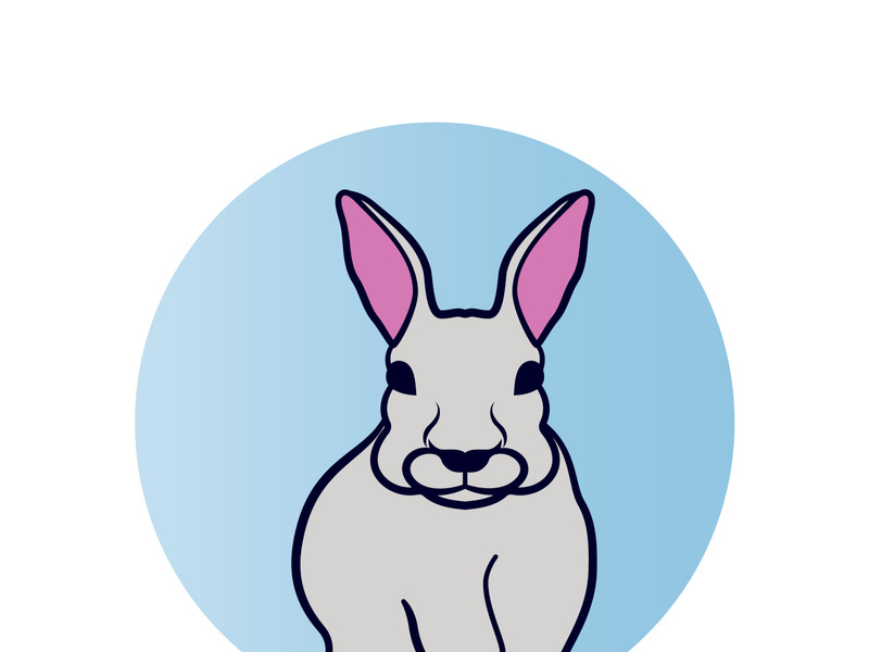 Rabbit logo