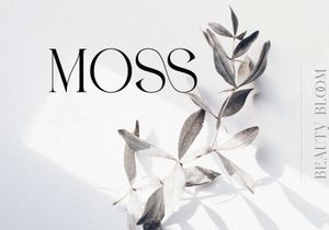 FLOWRISE || Display Ligature Serif