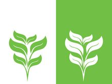 Logos of green tree leaf ecology nature element vector