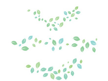 Mint Leaf icon template  illustration