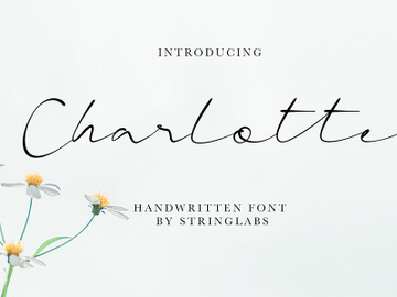 Charlotte - Casual Handwritten Font preview picture