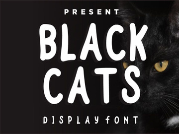 Black Cats preview picture