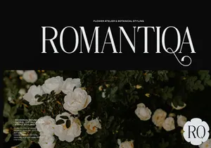 Angdiva | Display Serif Font
