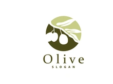 Olive Oil Logo, Olive Leaf Plant Herbal Garden Vector
