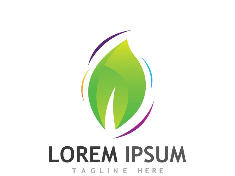 Colorful natural leaf logo design.