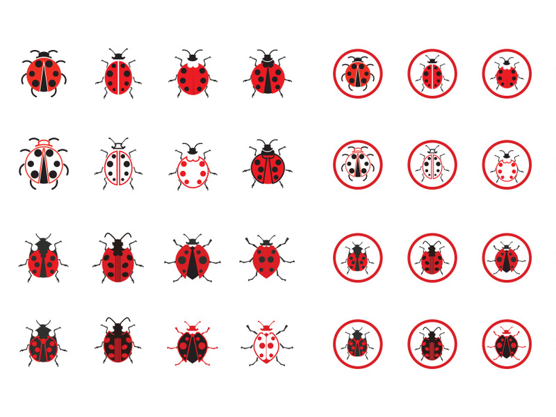 ladybug Animal Logo Icon symbol vector