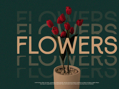 Eighty - Sans Serif Font