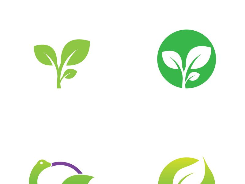 Natural green leaf logo design.