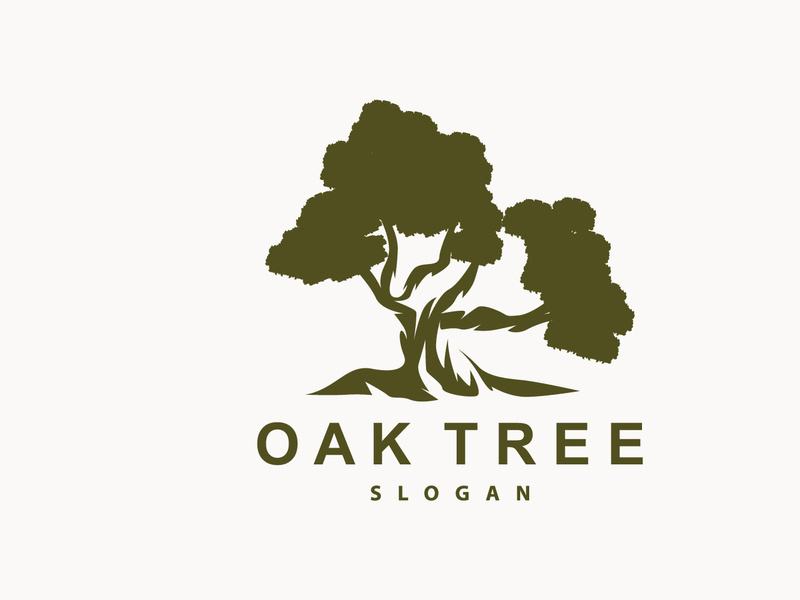 Oak Tree Logo Minimalist Design, Vector Tree Nature Plant