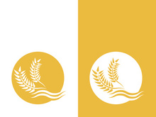 Wheat logo vector icon illustration design