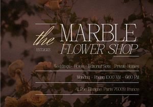 Maqotta | Modern Serif Font