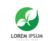 Natural green leaf logo design.