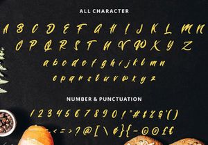 Wynter Sandy - Bold Script Font