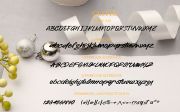 Ladusing font