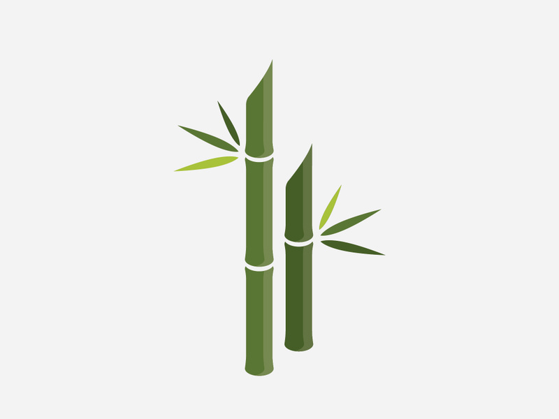 Green Bamboo Logo, vector illustration Design