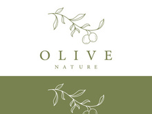 Hand drawn Botanical logo,leaf and natural olive fruit .Herbal, olive oil,cosmetic or beauty.