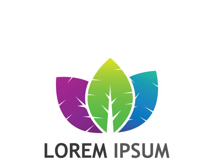Natural green leaf logo design.