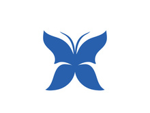 Butterfly icon design