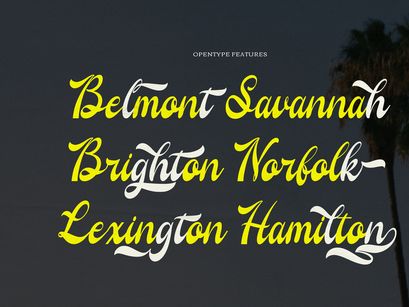 Regarding Wayback | Vintage Script