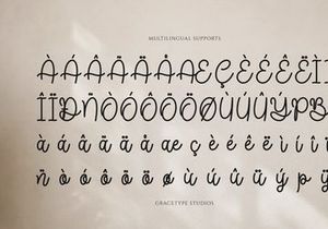 Joaguin Dignity | Monoline Script Font