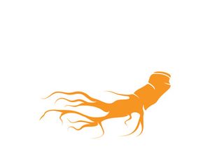 Ginseng logo design template and symbol icon vector illustration