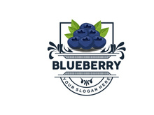 Blueberry Logo, Garden Farm Fresh Fruit Vector