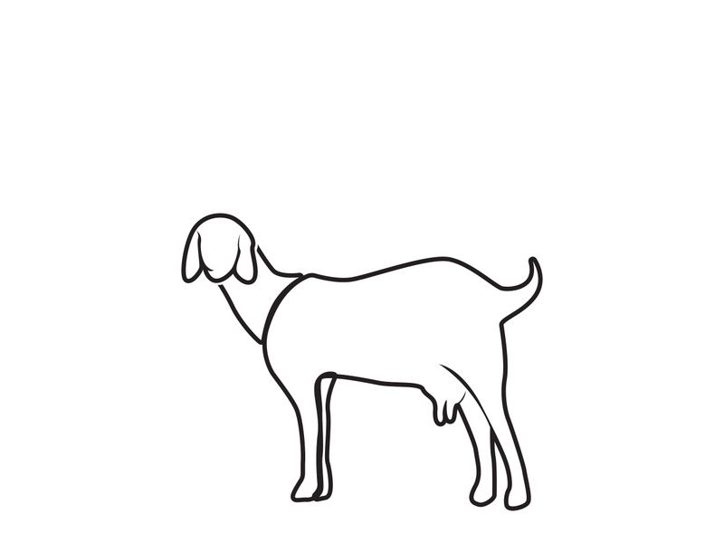 Goat Logo Template vector icon illustration design