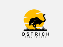 Ostrich Logo Design, Desert Animal Illustration