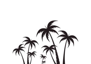 Palm tree summer logo template vector illustration