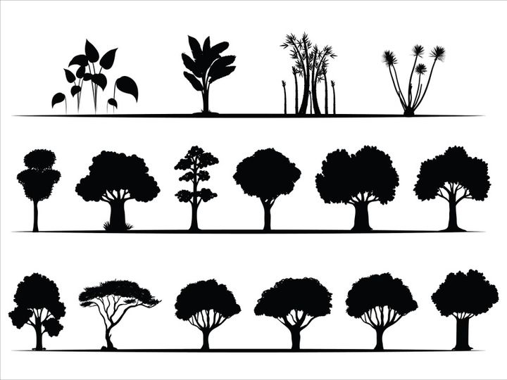 Trees Silhouettes Collection