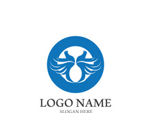 Dove bird logo vector design illustration