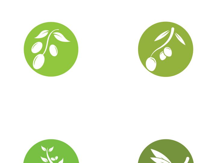 Branched olive fruit logo with creative idea.