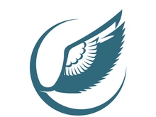 Wings logo