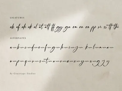 Villargio | Signature Script