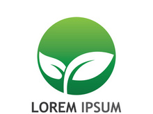 Natural green leaf logo design.