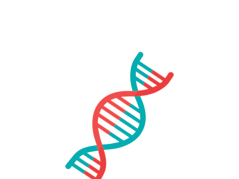 Flat design of a DNA made in Adobe illustrator?