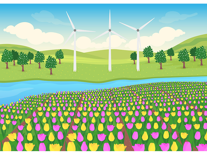 Tulips field flat color vector illustration